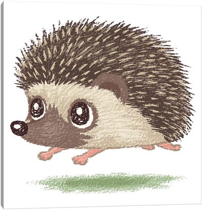 Hedgehog Running Canvas Art Print - Hedgehogs