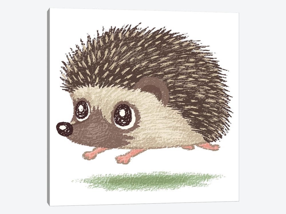 Hedgehog Running by Toru Sanogawa 1-piece Canvas Art