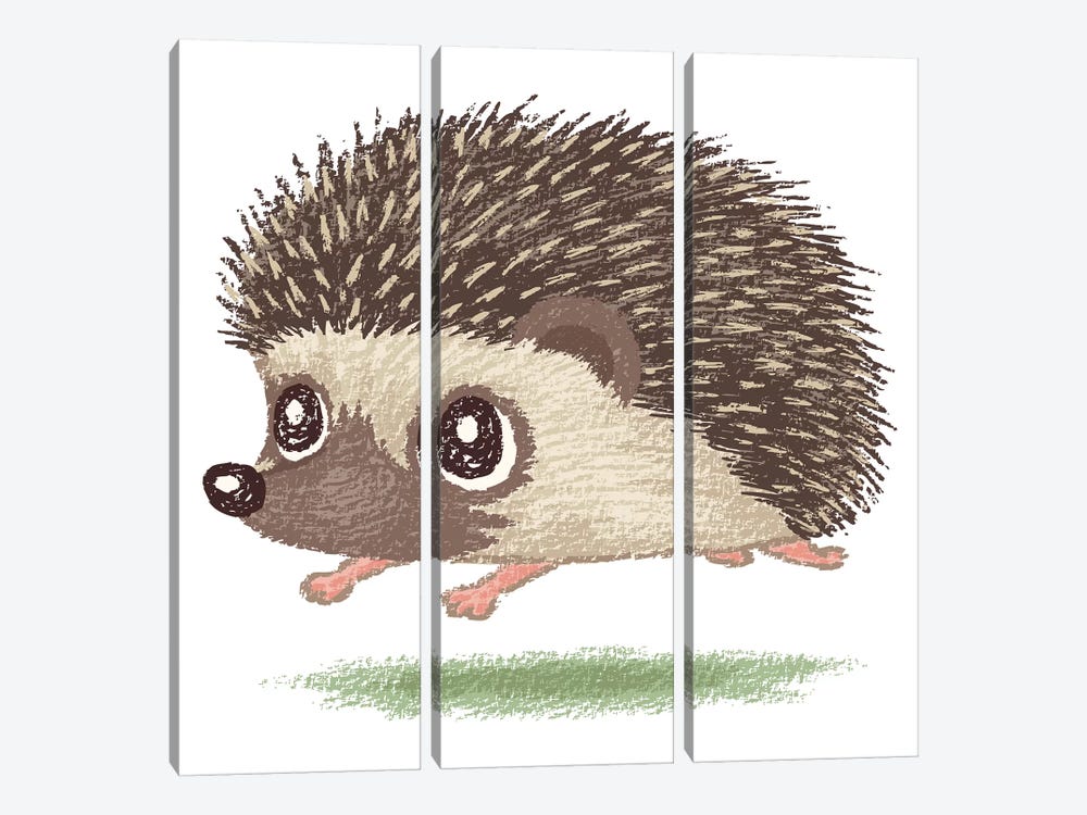 Hedgehog Running by Toru Sanogawa 3-piece Canvas Wall Art
