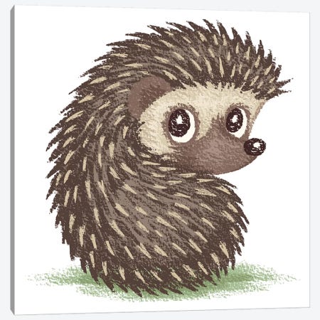 Hedgehog Which Looks At Back Canvas Print #TSG64} by Toru Sanogawa Canvas Wall Art