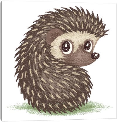 Hedgehog Which Looks At Back Canvas Art Print - Hedgehogs