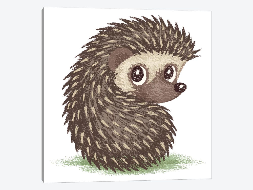 Hedgehog Which Looks At Back by Toru Sanogawa 1-piece Canvas Print