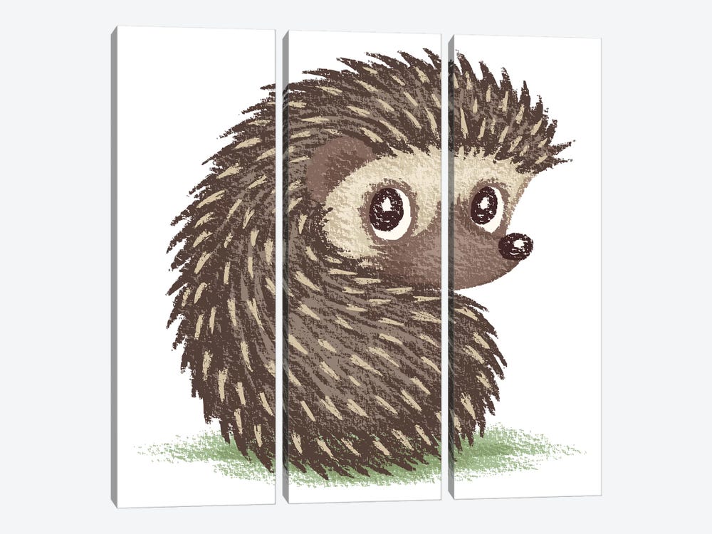 Hedgehog Which Looks At Back by Toru Sanogawa 3-piece Canvas Art Print
