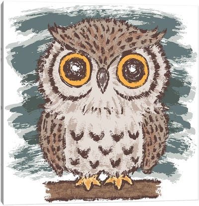 Owl Canvas Art Print - Toru Sanogawa