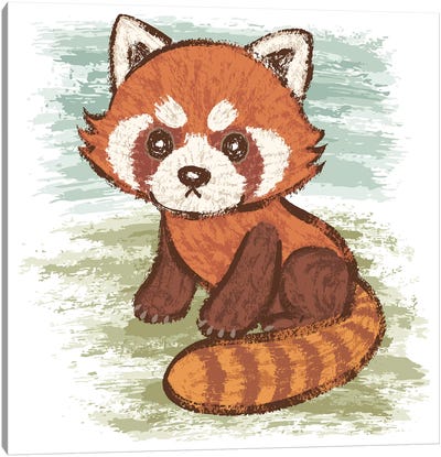 Red Panda Canvas Art Print - Toru Sanogawa