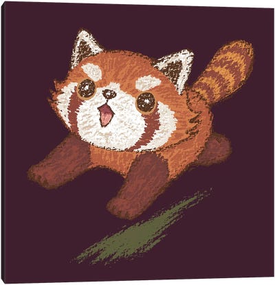Red Panda Running Canvas Art Print - Red Panda Art