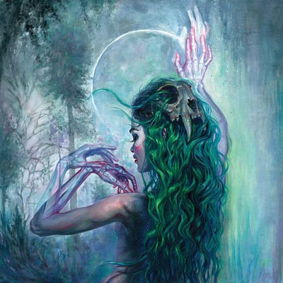 Shaman Bones by Tanya Shatseva framed canvas print