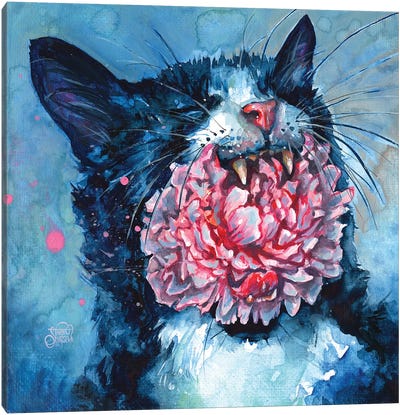 Yawn Canvas Art Print - Tuxedo Cat Art