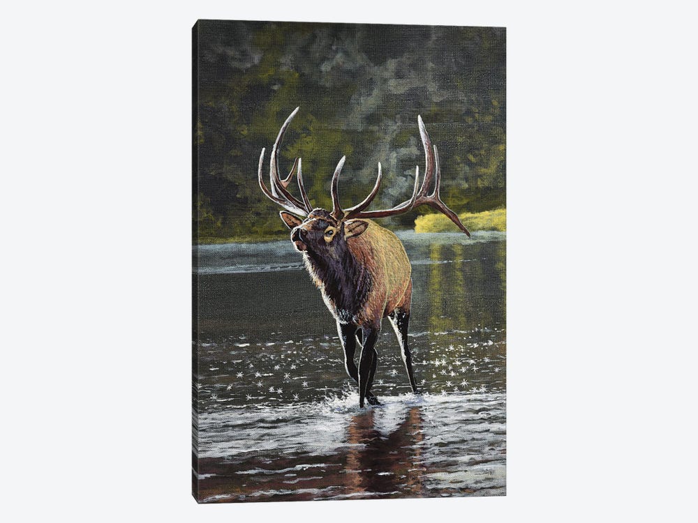 Elk In River by Terry Steele 1-piece Art Print