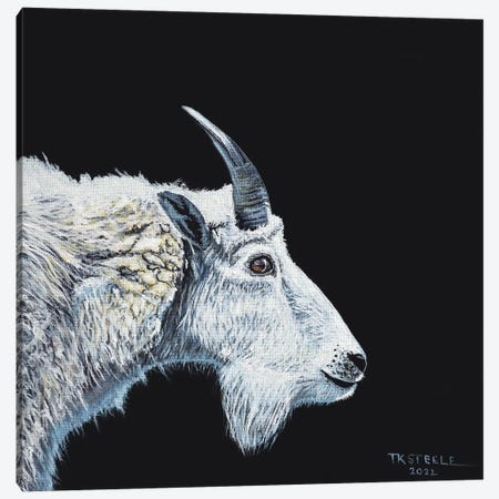 Mountain Goat Canvas Print #TSL11} by Terry Steele Art Print