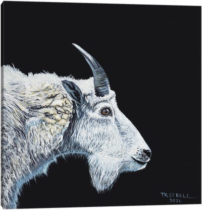 Mountain Goat Canvas Art Print - Goat Art