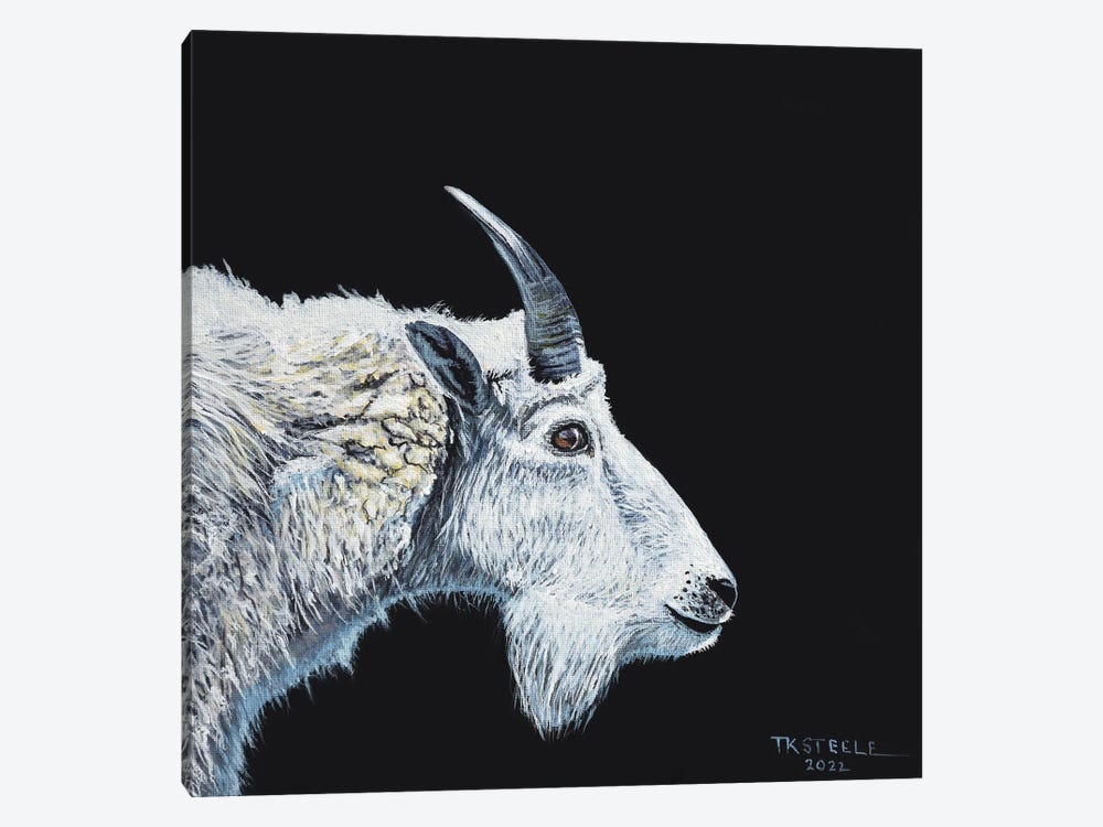 Mountain Goat by Terry Steele 1-piece Canvas Artwork