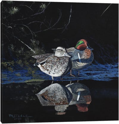 Green Wing Teal Canvas Art Print - Terry Steele