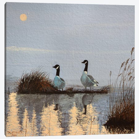 Morning Geese Canvas Print #TSL13} by Terry Steele Canvas Print