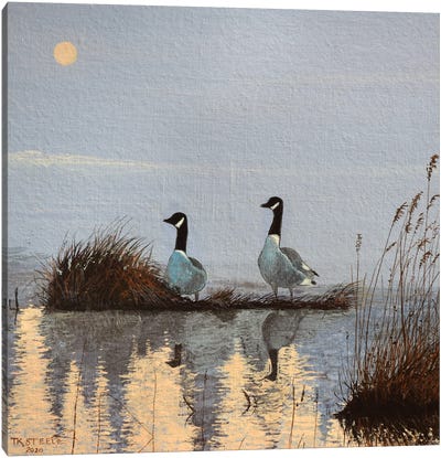 Morning Geese Canvas Art Print - Terry Steele