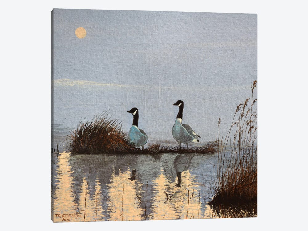 Morning Geese by Terry Steele 1-piece Canvas Art