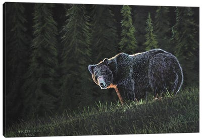 Grizzly Bear Canvas Art Print - Grizzly Bear Art