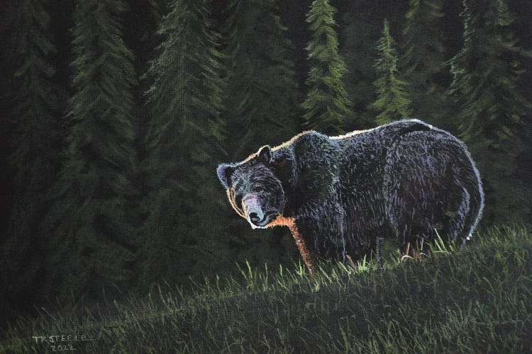 Grizzly Bear