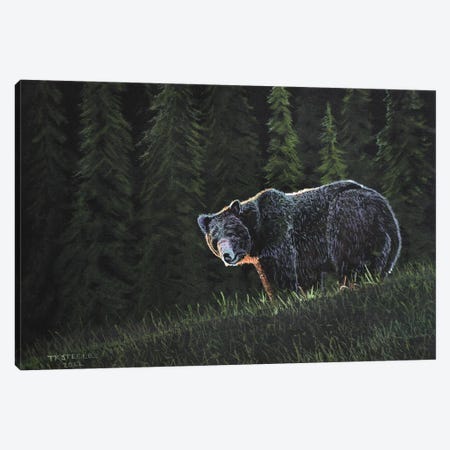 Grizzly Bear Canvas Print #TSL16} by Terry Steele Canvas Art