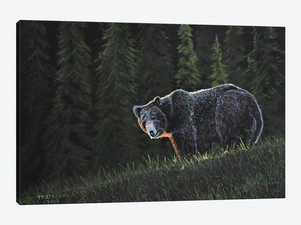 Grizzly Bear by Terry Steele 1-piece Art Print