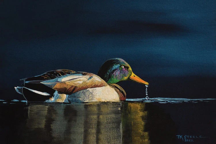 Blue Hour Mallard