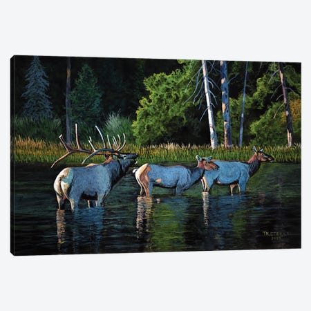 River Crossing Canvas Print #TSL18} by Terry Steele Canvas Print