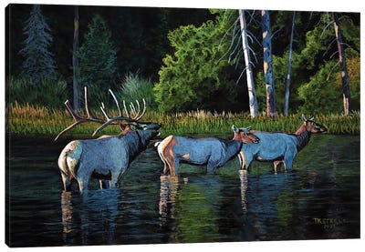 River Crossing Canvas Art Print - Elk Art