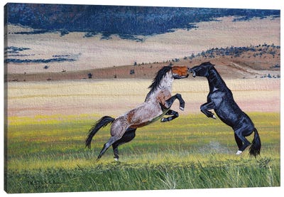 The Battle Canvas Art Print - Terry Steele