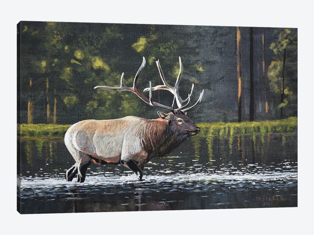 Elk Crossing by Terry Steele 1-piece Canvas Art
