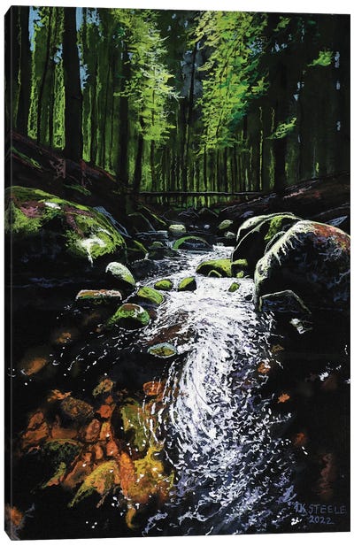 Clear Creek Canvas Art Print - Terry Steele