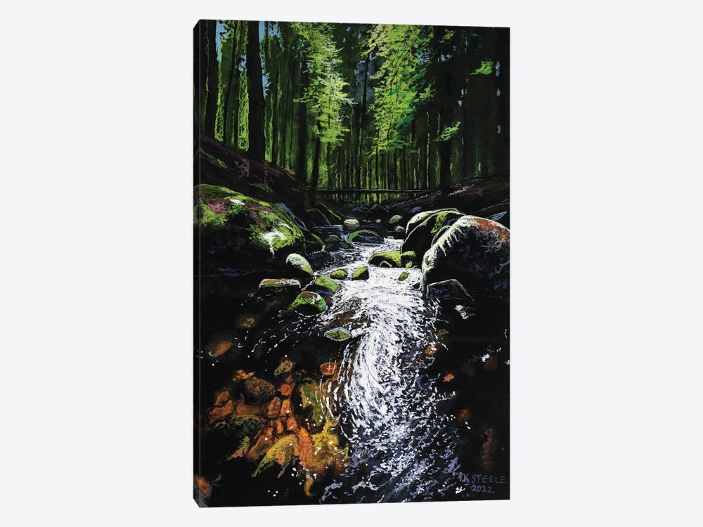 Clear Creek by Terry Steele 1-piece Canvas Art