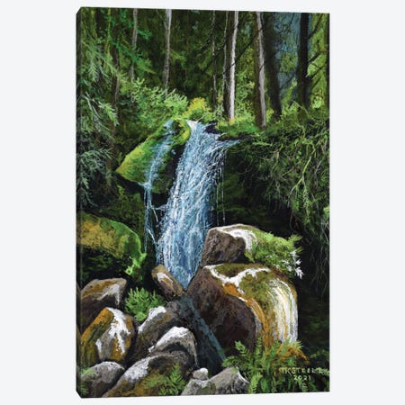 Oregon Falls Canvas Print #TSL25} by Terry Steele Canvas Print