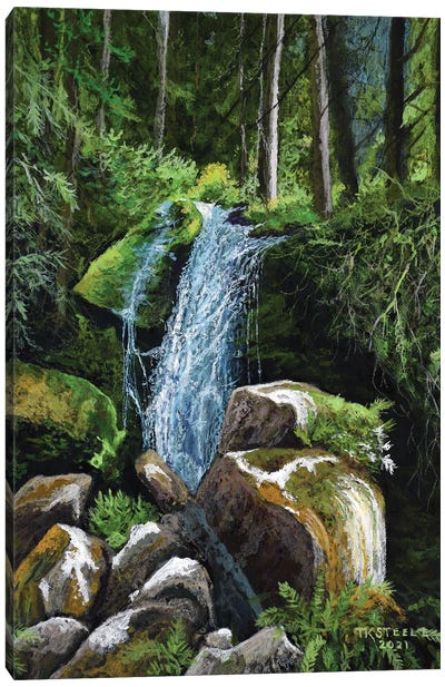 Oregon Falls Canvas Art Print - Terry Steele