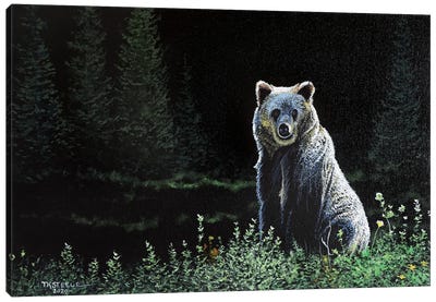 Sitting Pretty Canvas Art Print - Black Bear Art