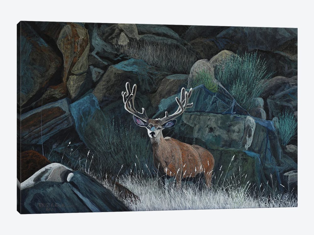 Buck And Boulders by Terry Steele 1-piece Canvas Print