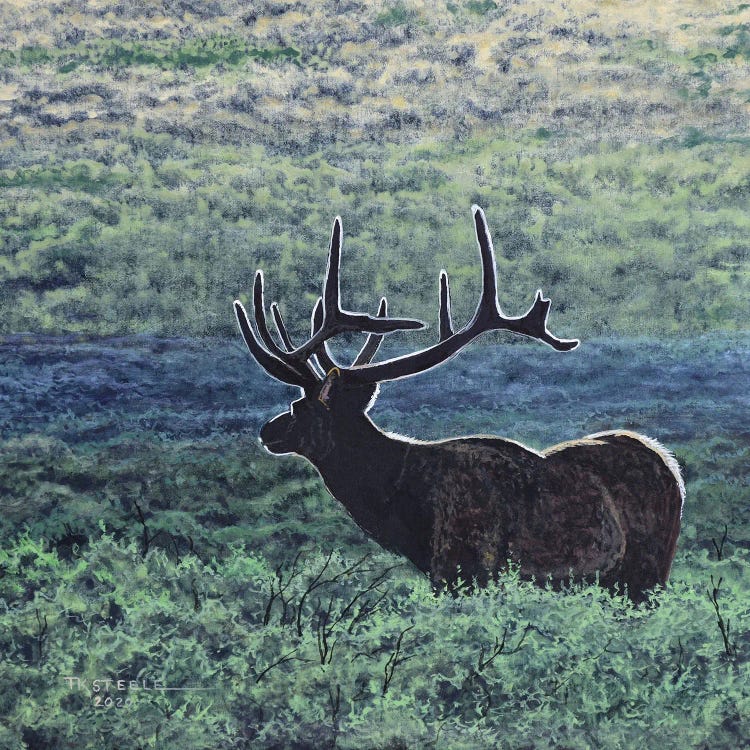 Elk In Sage