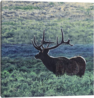 Elk In Sage Canvas Art Print - Terry Steele