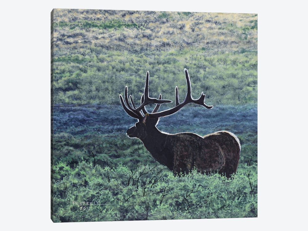 Elk In Sage by Terry Steele 1-piece Canvas Artwork