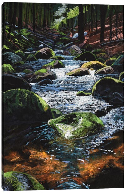 Spring Creek Canvas Art Print - Terry Steele