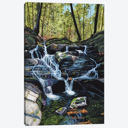 Tennessee Falls Canvas Print #TSL3} by Terry Steele Canvas Art