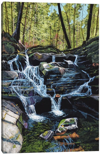 Tennessee Falls Canvas Art Print - Terry Steele