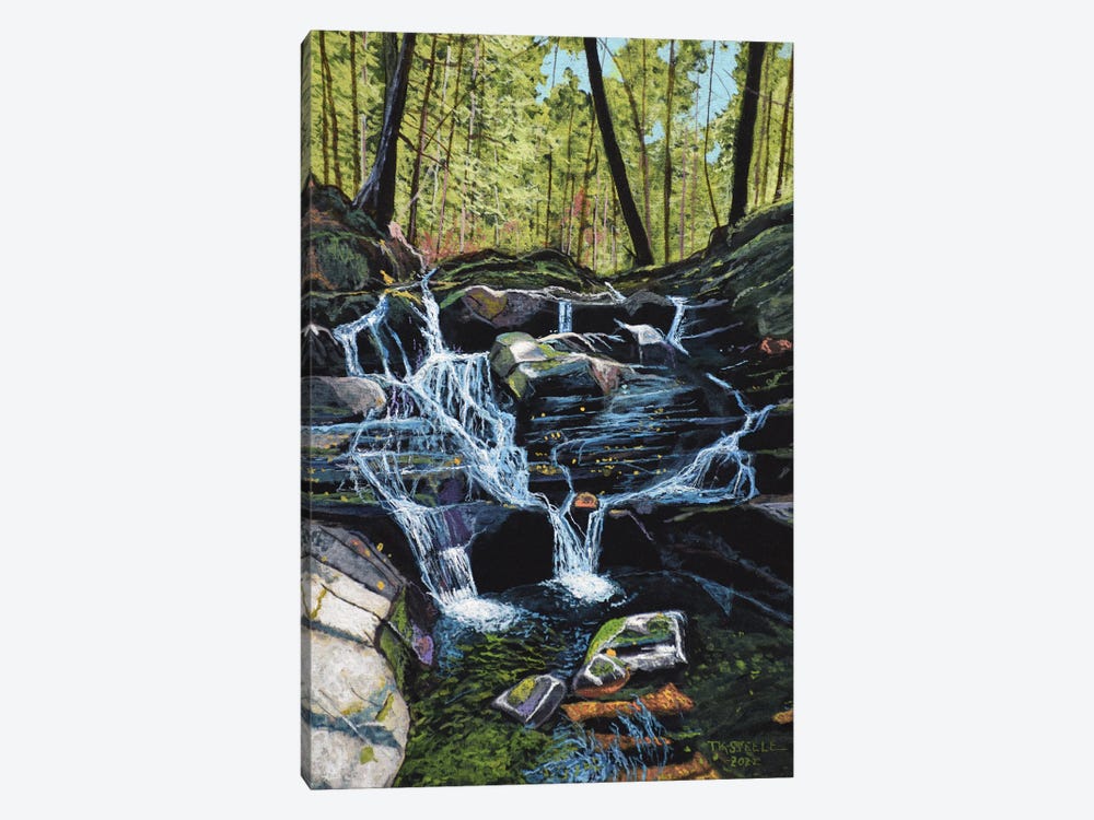 Tennessee Falls by Terry Steele 1-piece Canvas Art Print