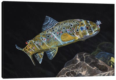 Brown Trout Canvas Art Print - Terry Steele