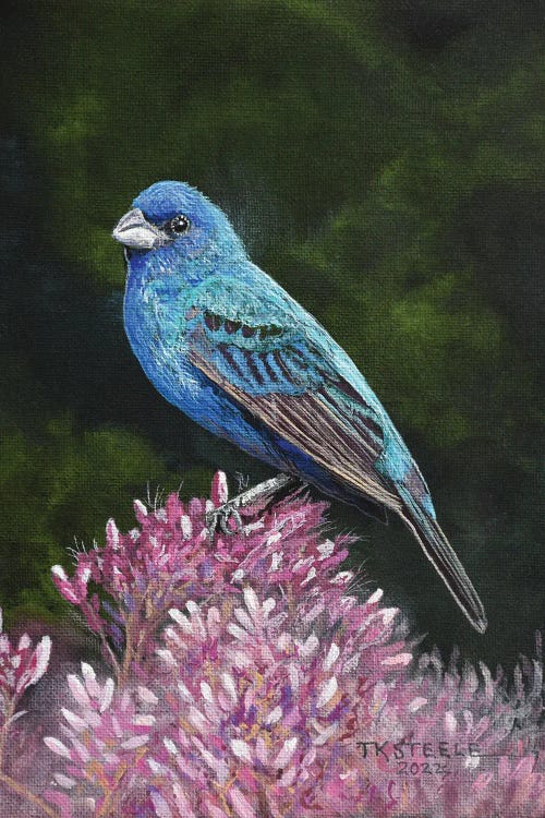 Indigo Bunting