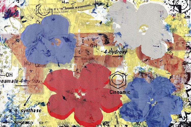 Flower Disaster And The Theory Of Yes by Taylor Smith wall art