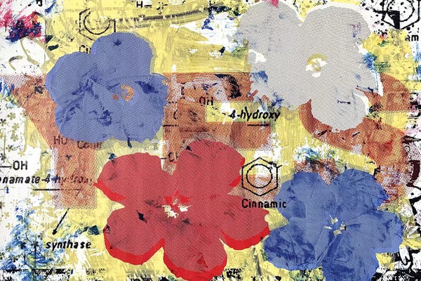 Flower Disaster And The Theory Of Yes