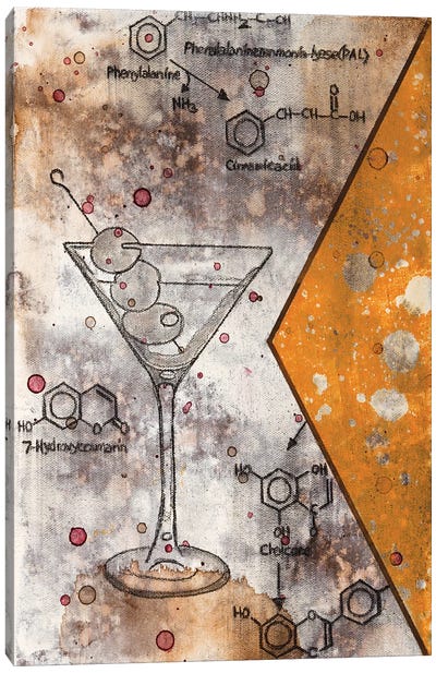 Martini Chemical Reaction Canvas Art Print - Cocktail & Mixed Drink Art