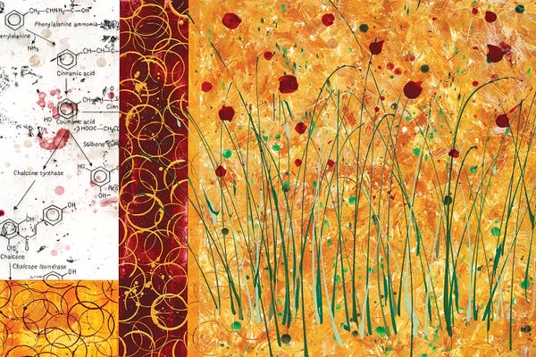 Grasses: Perfect Chemistry I by Taylor Smith