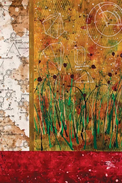 Grasses: Abstract Landscape by Taylor Smith