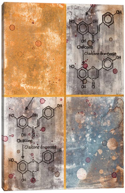 Unexpected Chemical Reaction I Canvas Art Print - Chemistry Art